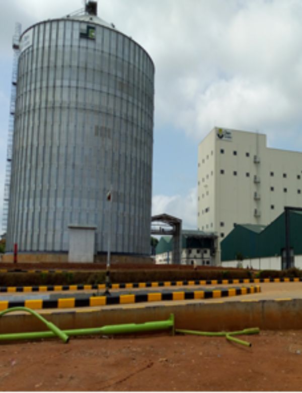 Completed Crown Flour Fish Mill